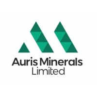 Auris Minerals