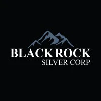 Blackrock Gold Corp.