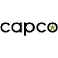 Capstone Companies Inc