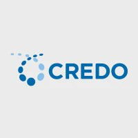 Credo Technology Group Holding Ltd