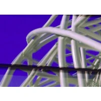ECGI Holdings