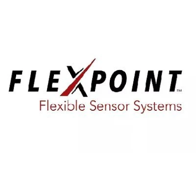 Flexpoint Sensor Systems