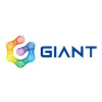 Giant Network Group