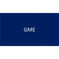 GME Group Holdings