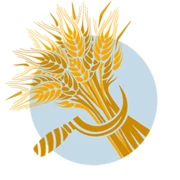 Heavitree Brewery Class A