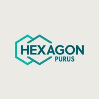 Hexagon Purus Holding AS