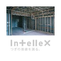 INTELLEX Co.,Ltd.