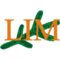 Labrador Iron Mines Holdings Ltd
