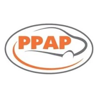 PPAP Automotive