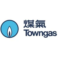 The Hong Kong and China Gas Company Ltd