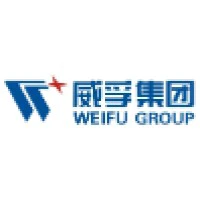 WEIFU HIGHTECH/Shs A Vtg 1.00