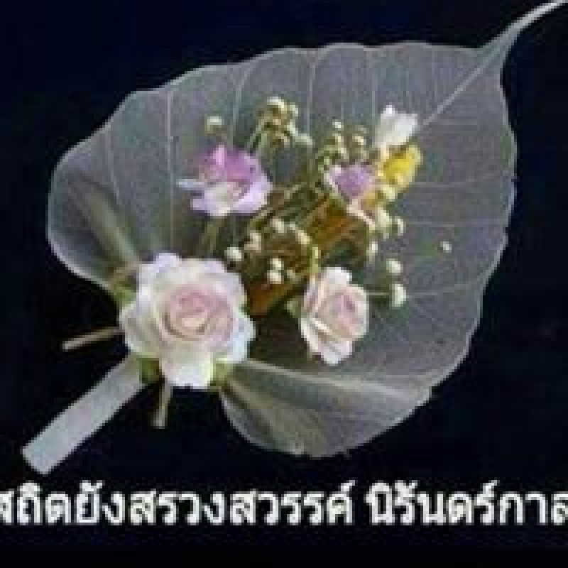 teerapon.sanseeha.1071