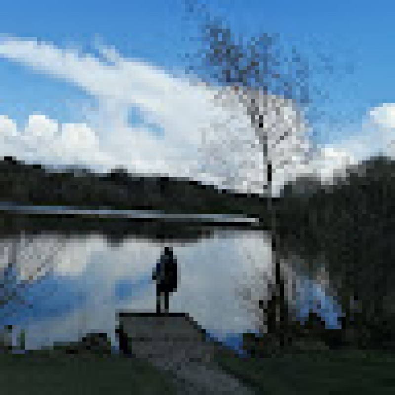 kviksteps177