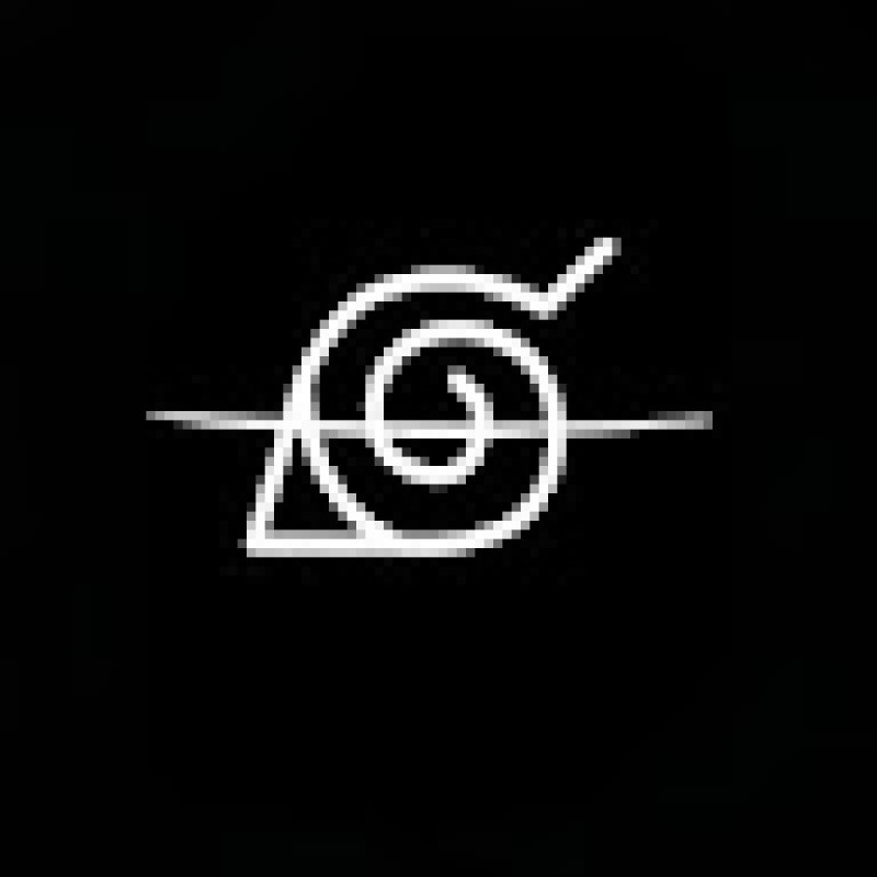 shockhold19.267253