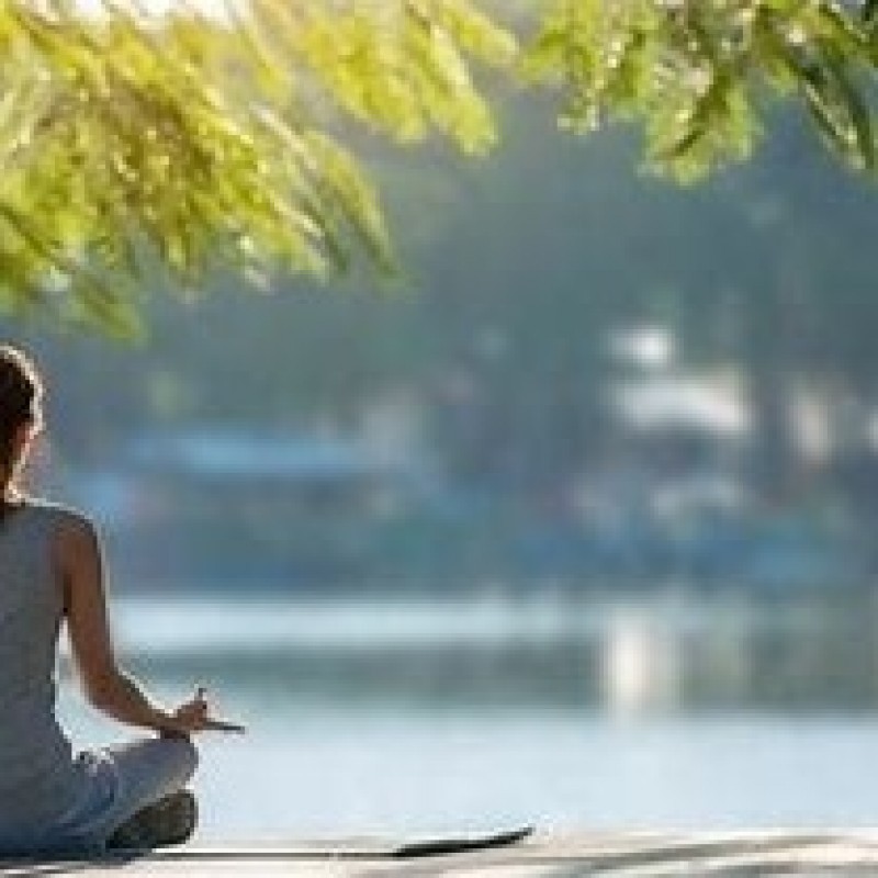 Zen Sarah