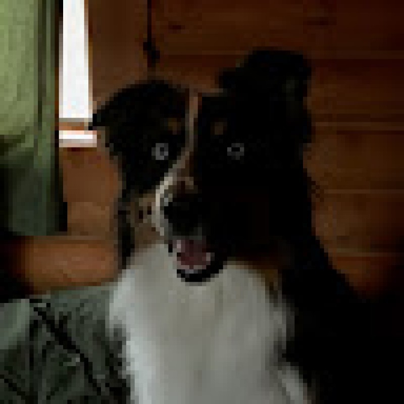 slipperyphoton