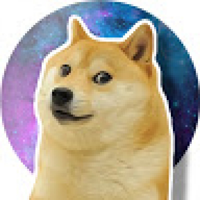 Galaxy Doge