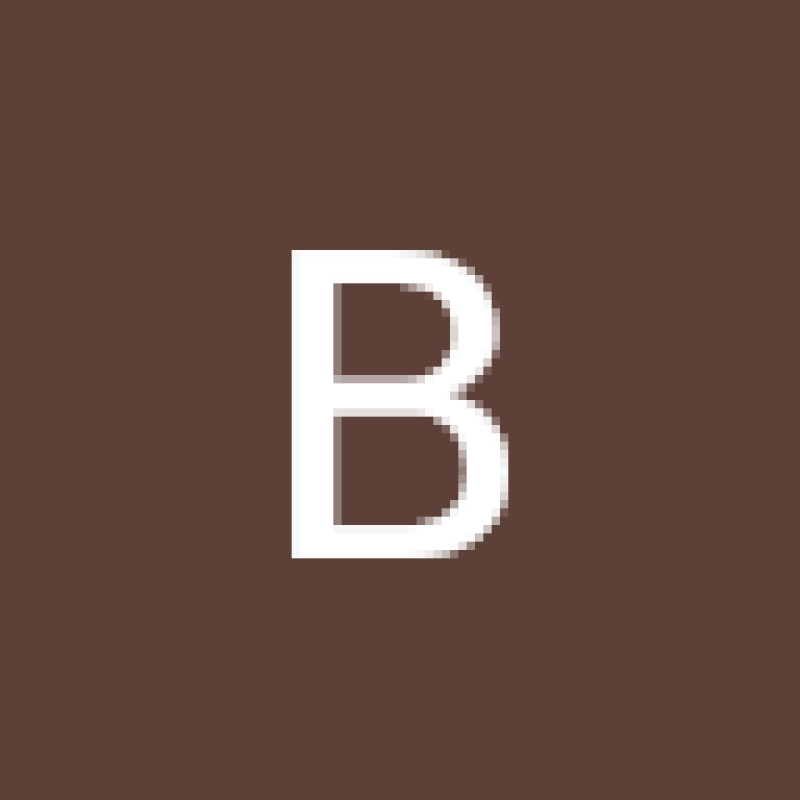 bvl231974.293233