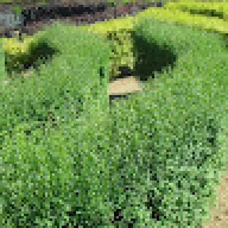 h.ameji134
