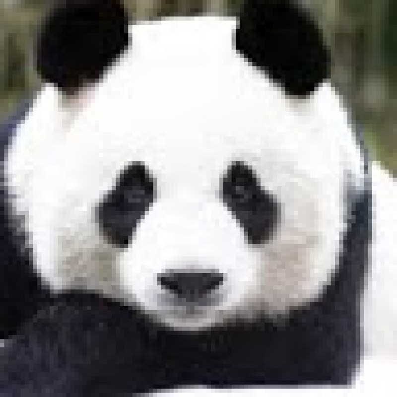 jasonzhou100.242969