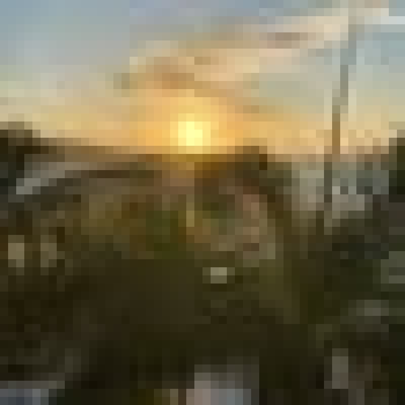 downs073
