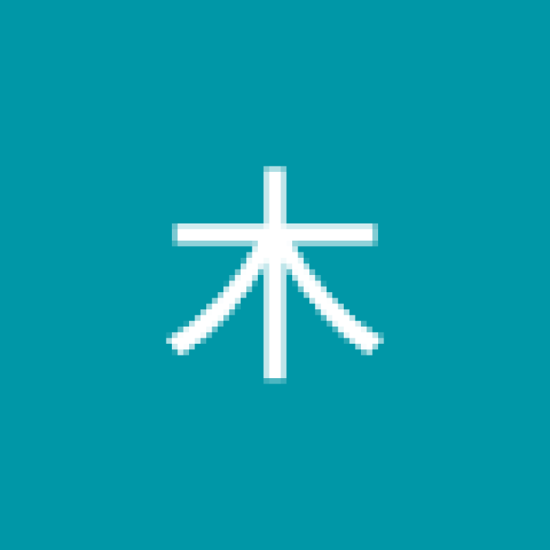 linmu20258888