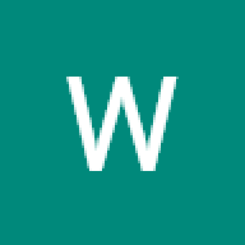 wolfdream308