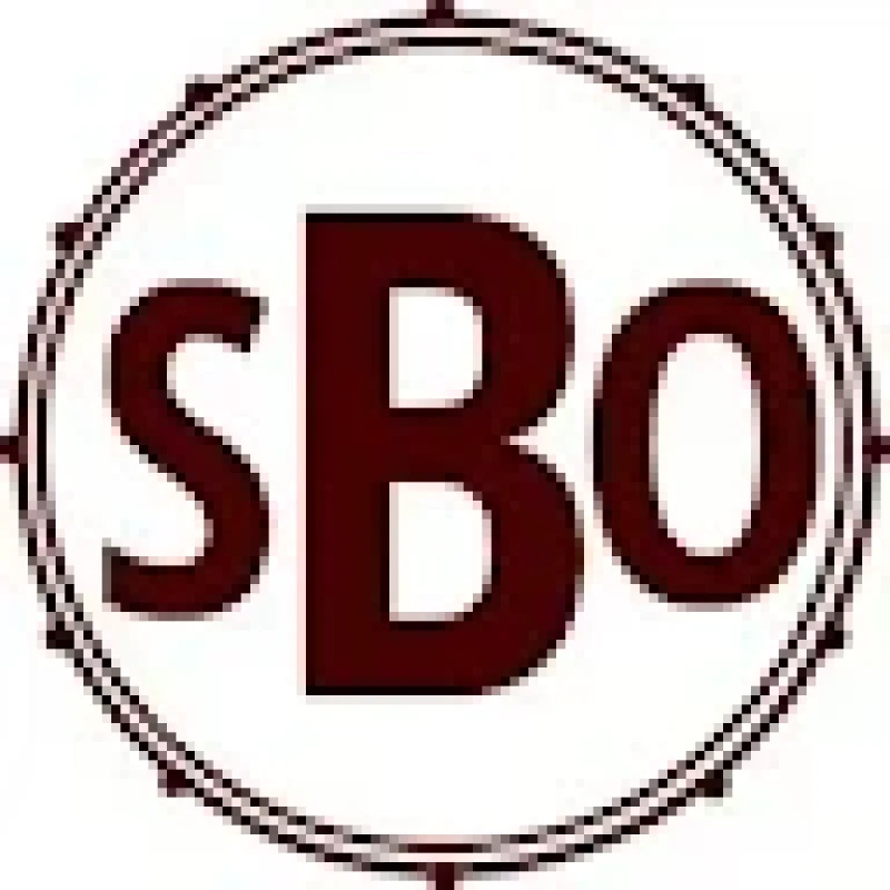 buyuknaragaci