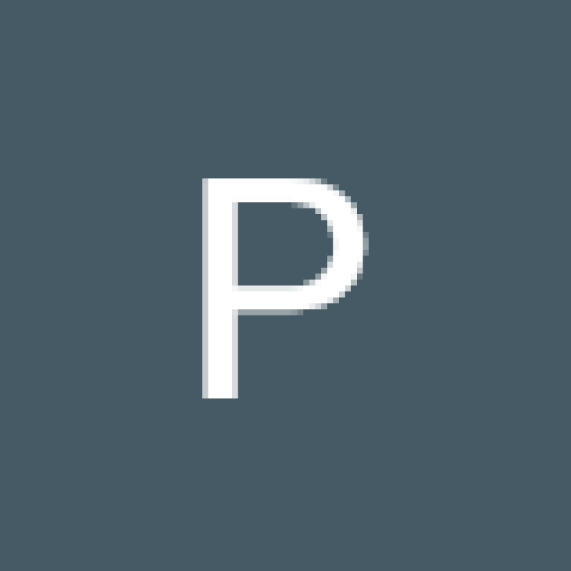 parthbhodia08