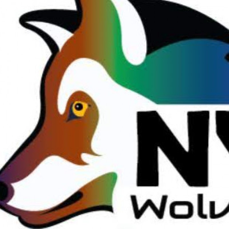 NY WOLVES