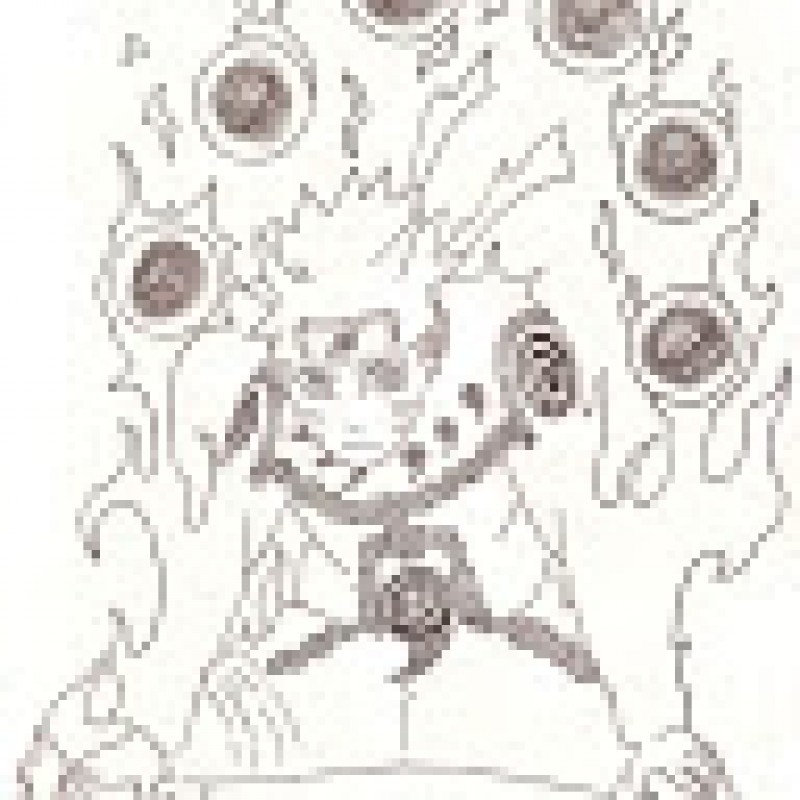 PkkHaseo