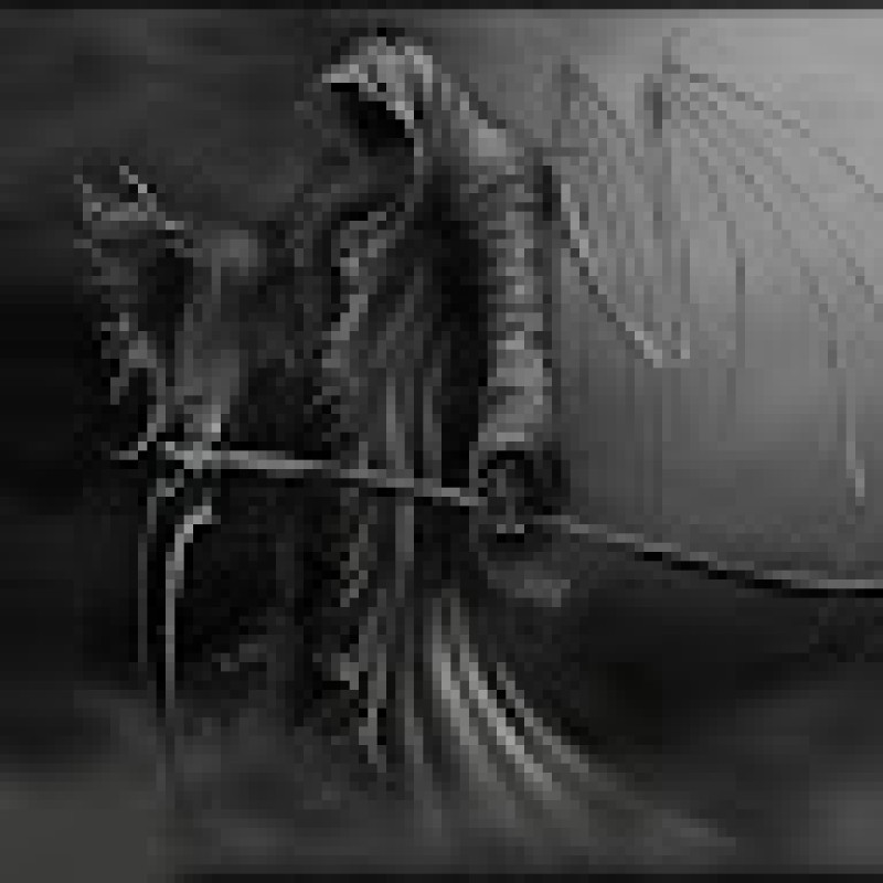 nickthereaper95