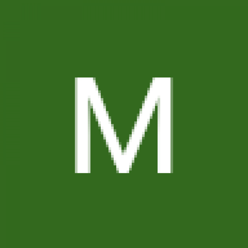 majdi.nowami.222630