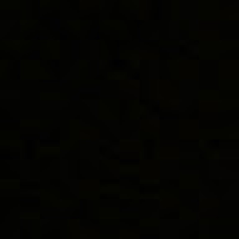 chiloflores2011