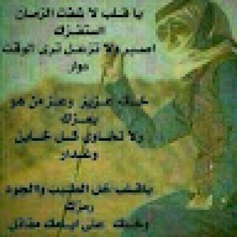 053389zzxx.281503