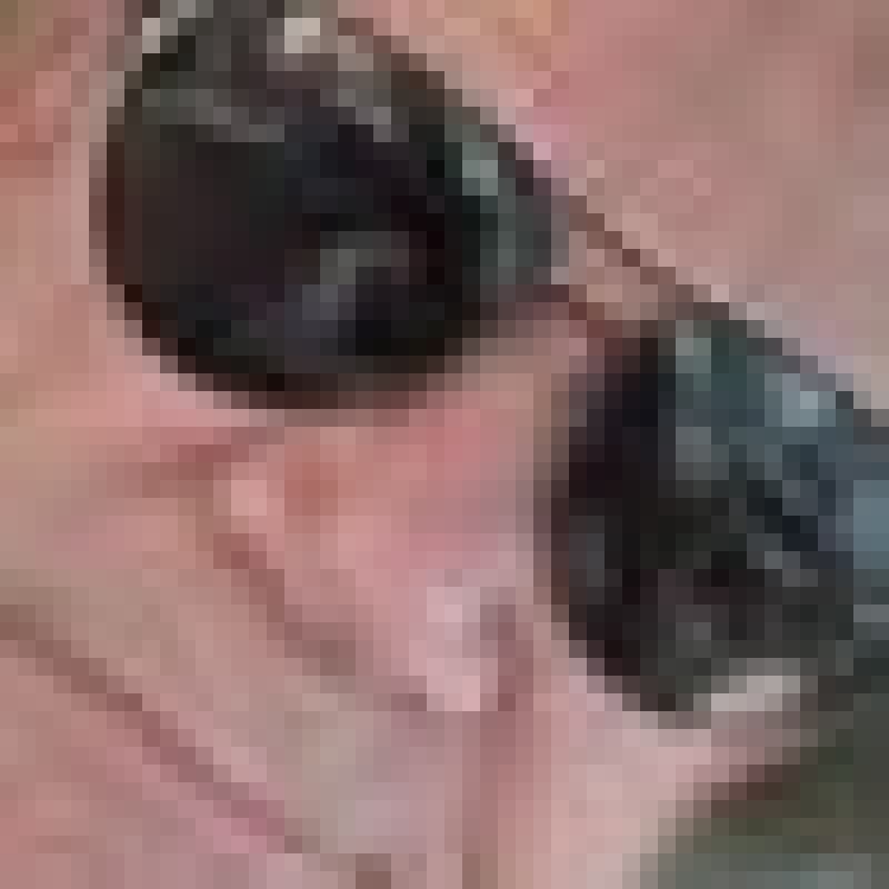 bcrow2