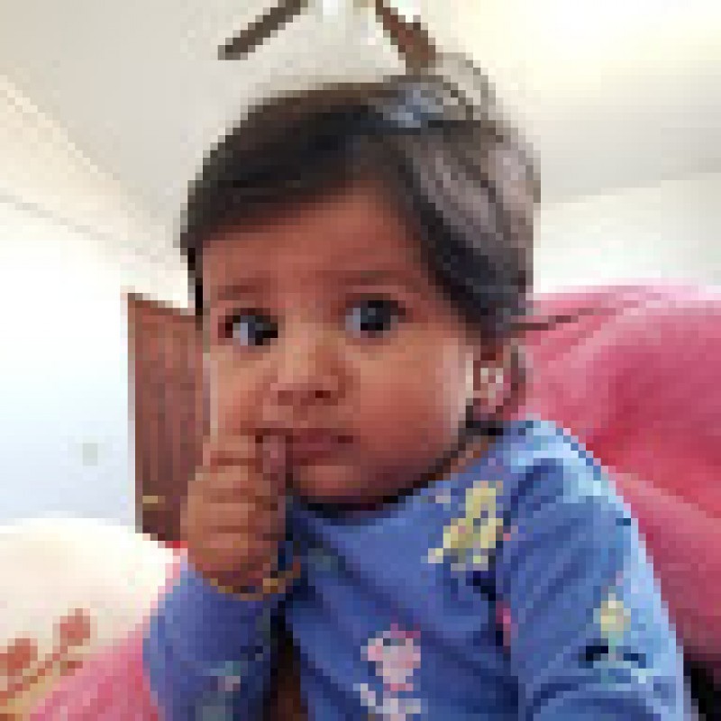 bhadra3831.242228