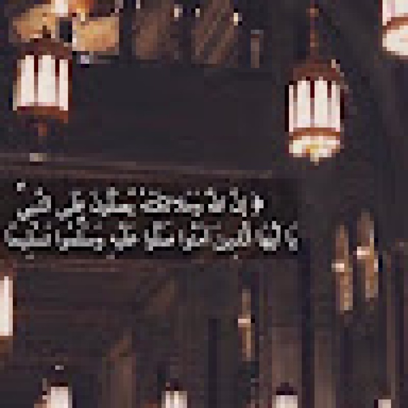maherali11