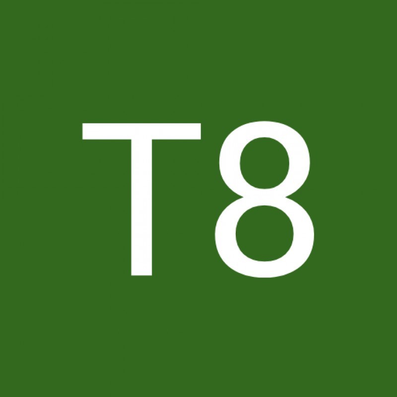 T8 Nguyen