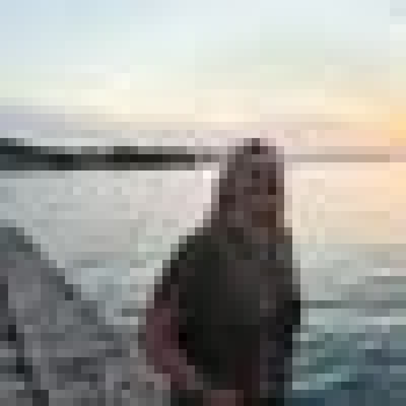 luiza.mrozicka