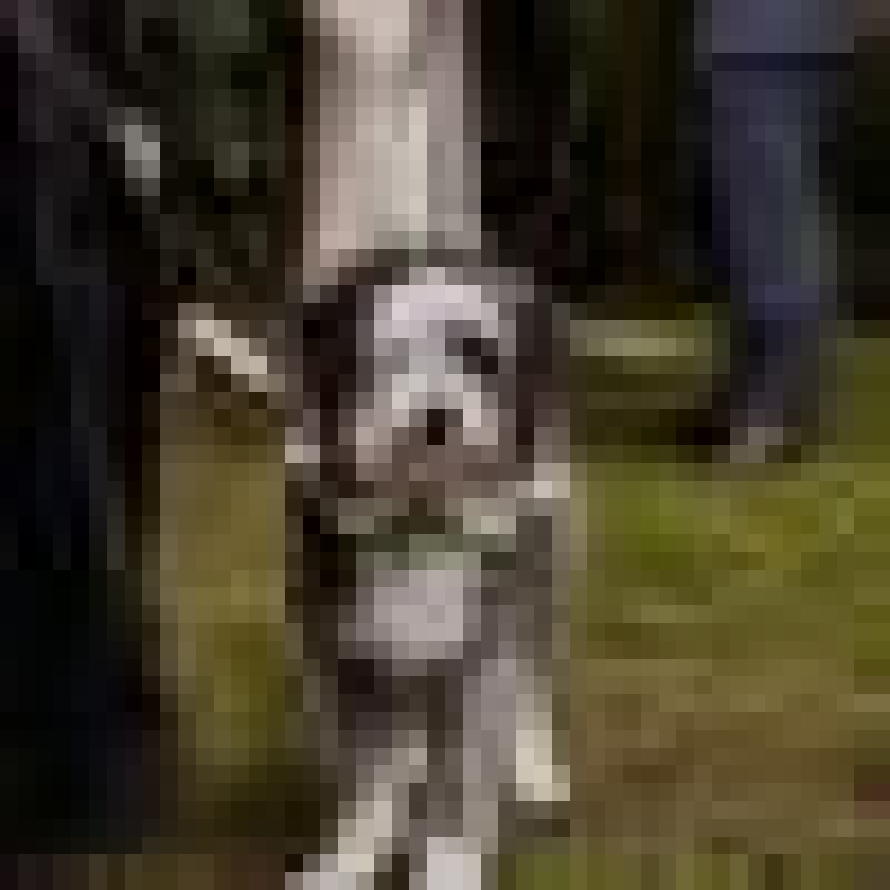 kaleenhainline