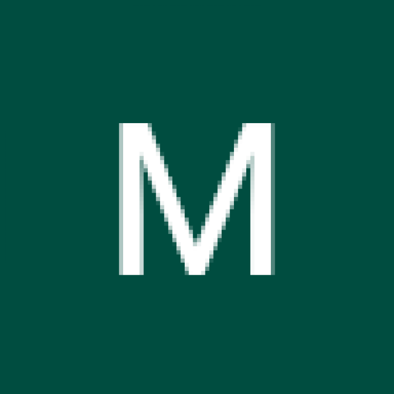 mfaisal08.381457