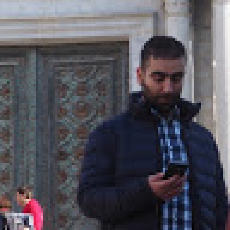 Anas Alba