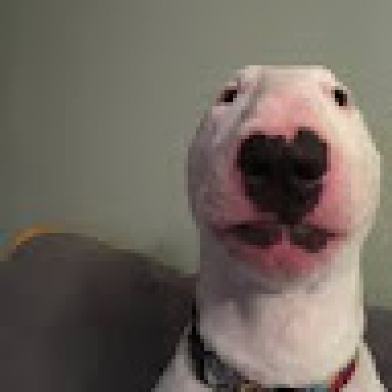 fortnitepropepper
