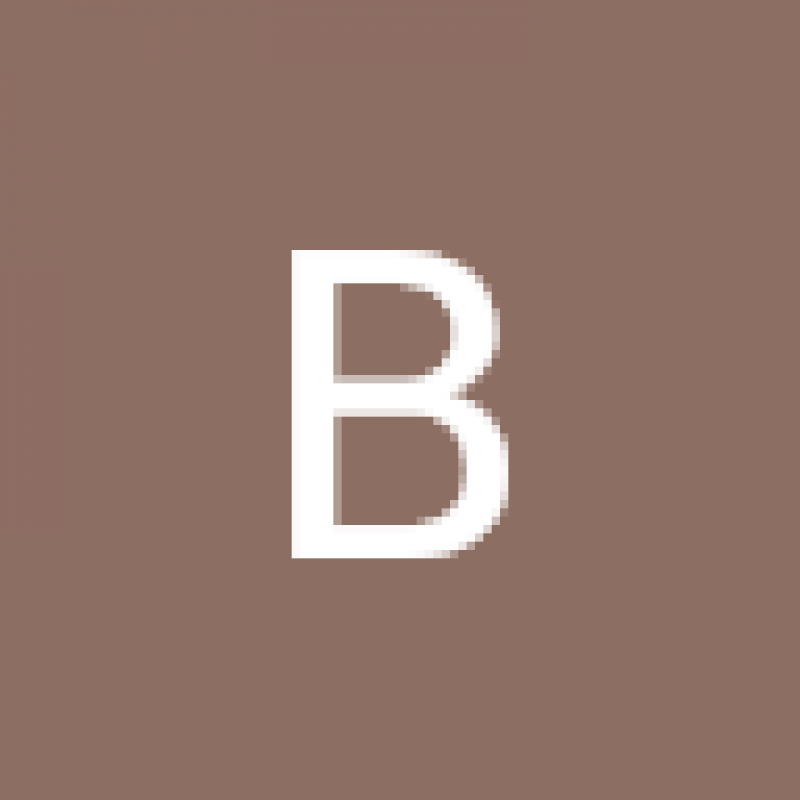 brad.363795