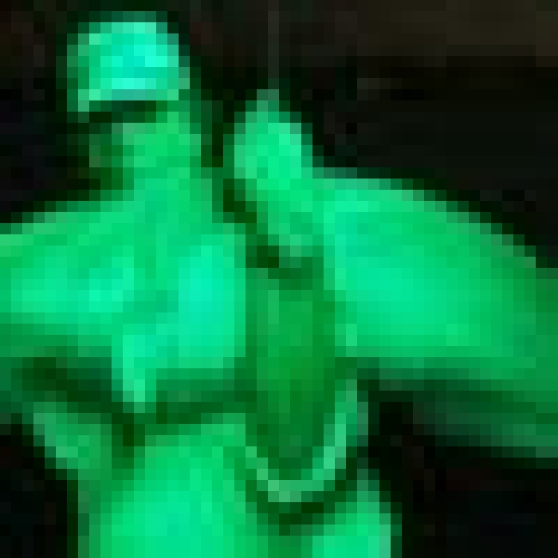 rcoxx1