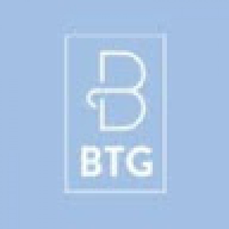BTG Invest Capital