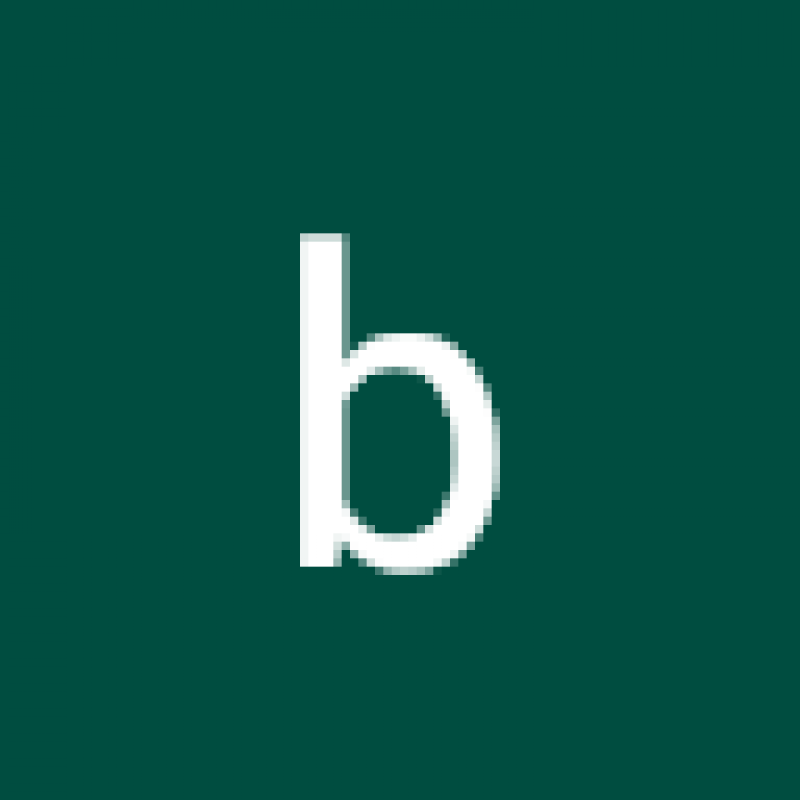bgoetz.bg1.345273