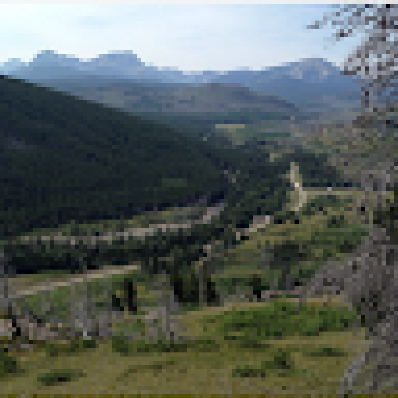 mathewmaziarz.307591
