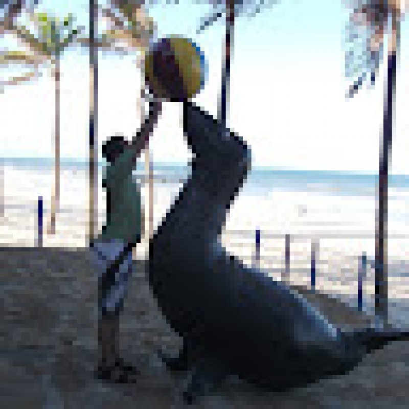 jcarostegui.390593